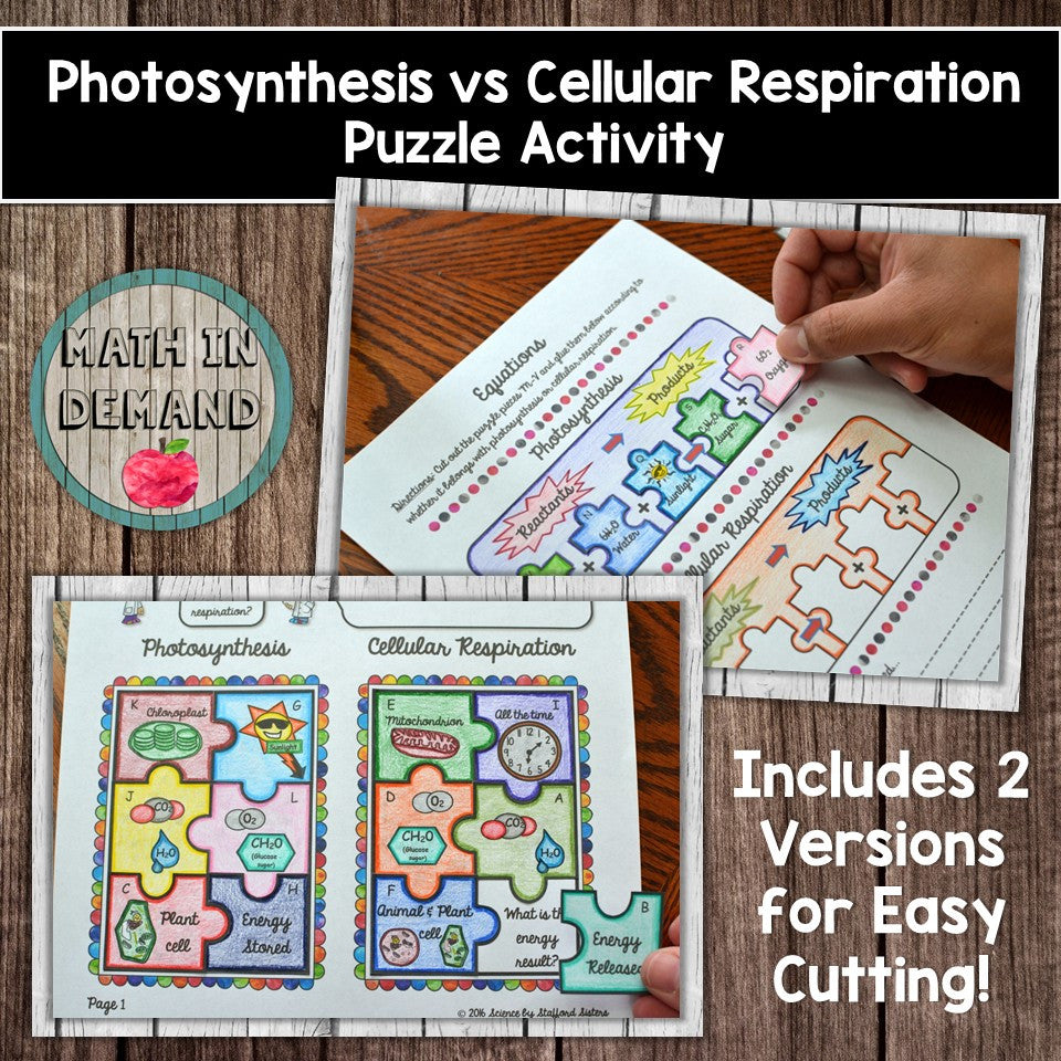 Photosynthesis vs Cellular Respiration Puzzle Activity