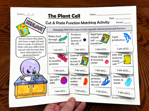 Plant Cell Cut & Paste Matching Functions & Organelles Activity