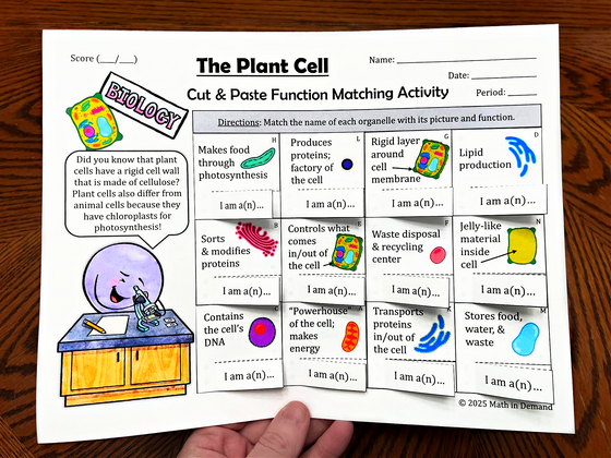 Plant Cell Cut & Paste Matching Functions & Organelles Activity