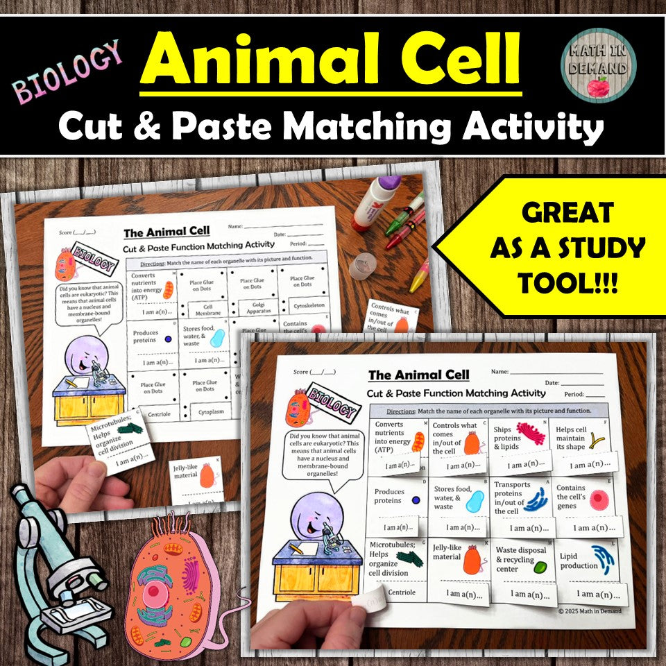 Animal Cell Cut & Paste Matching Functions & Organelles Activity