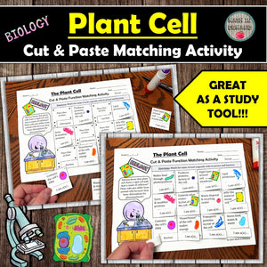 Plant Cell Cut & Paste Matching Functions & Organelles Activity