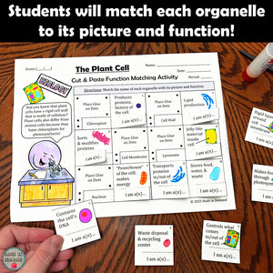 Plant Cell Cut & Paste Matching Functions & Organelles Activity