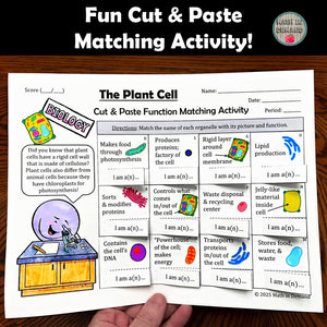 Plant Cell Cut & Paste Matching Functions & Organelles Activity