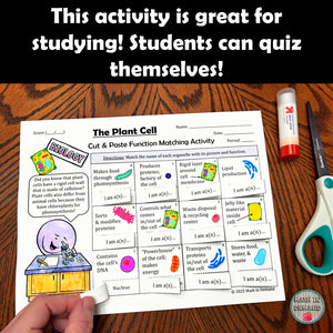 Plant Cell Cut & Paste Matching Functions & Organelles Activity