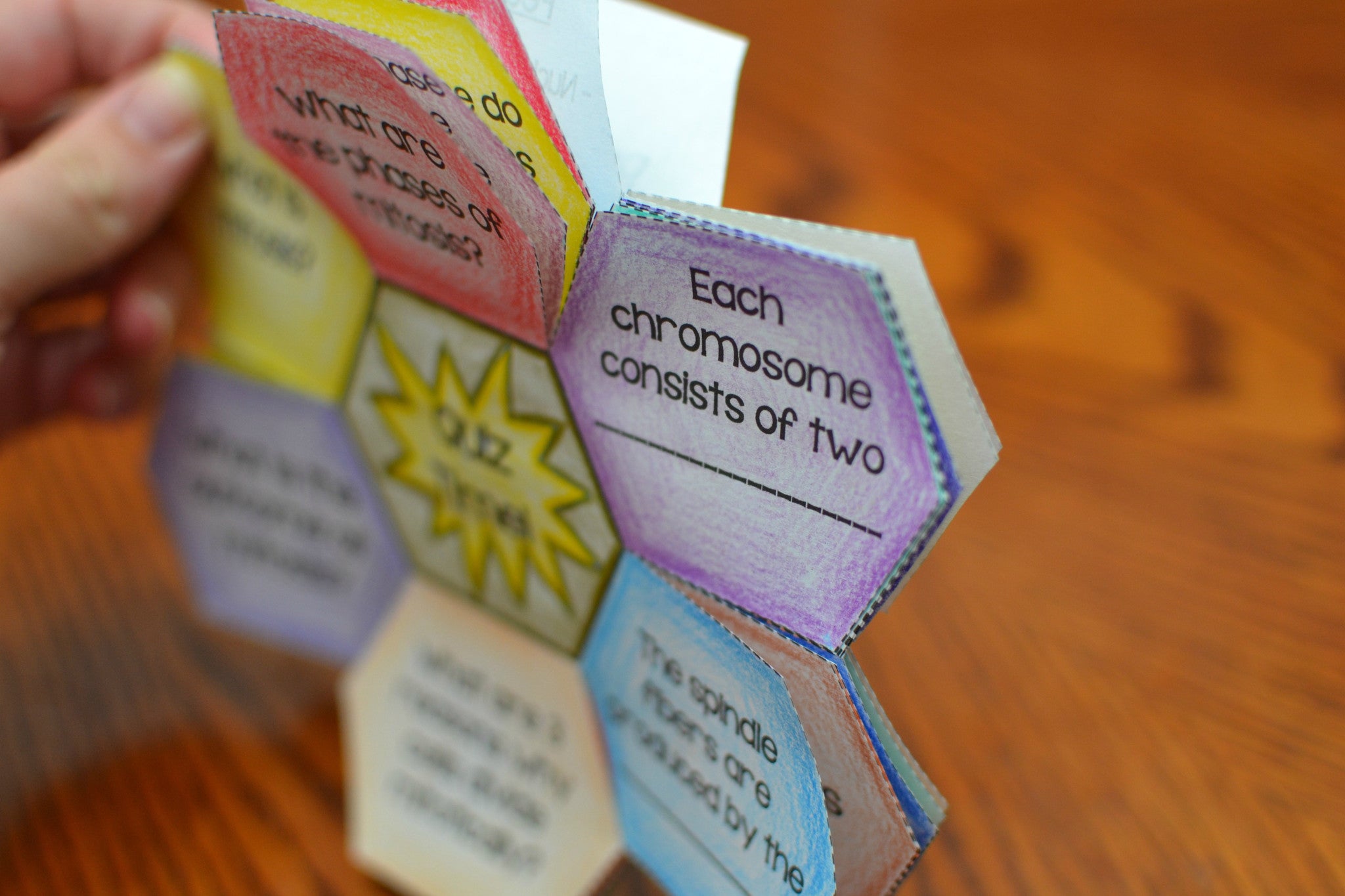 Mitosis Foldable Math In Demand