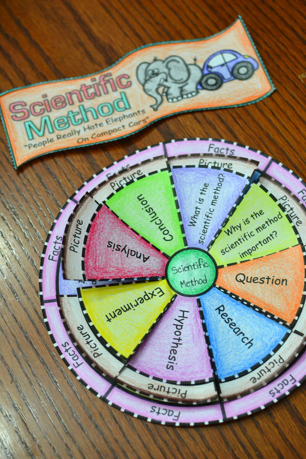 The Scientific Method Foldable - Math in Demand
