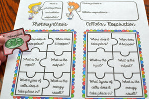Photosynthesis vs Cellular Respiration Puzzle Activity