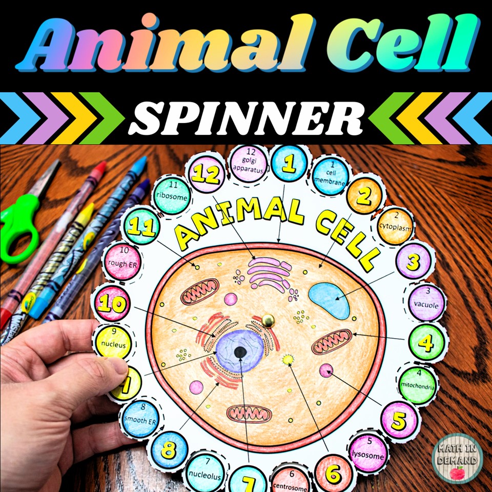 Animal Cell Wheel Spinner
