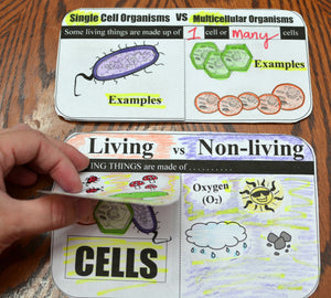 Science Interactive Notebook - Cells