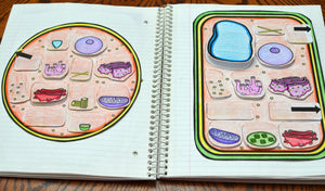 Science Interactive Notebook - Cells