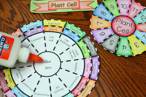 Plant Cell Foldable