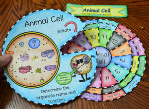 Animal and Plant Cell Foldable