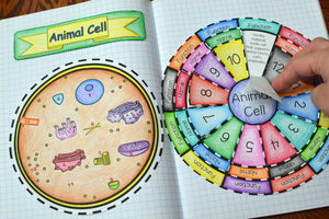 Animal Cell Foldable
