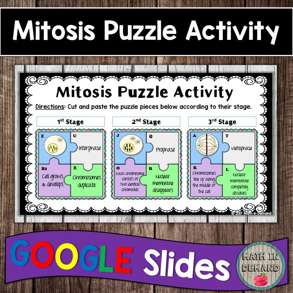 Mitosis Puzzle in Google Slides