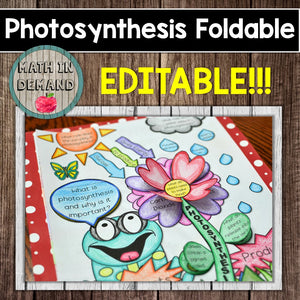 Photosynthesis Foldable