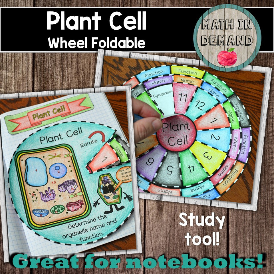 Cell Function Foldable Plant Cell Foldable - Math in Demand