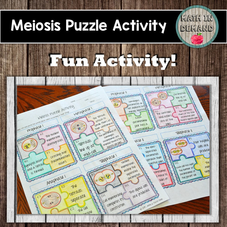 Meiosis Puzzle Activity