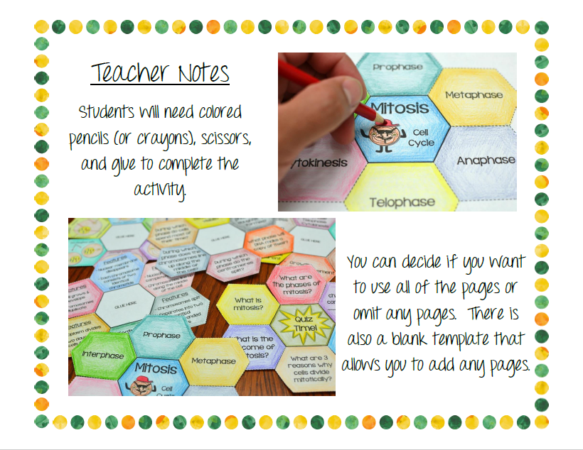Mitosis Foldable - Math in Demand