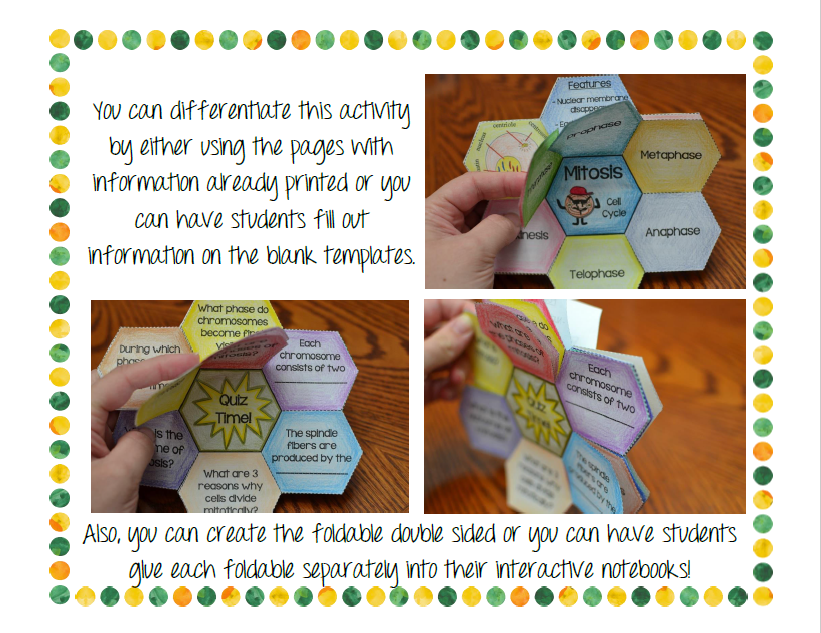 Mitosis Foldable - Math in Demand