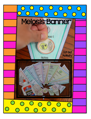 Meiosis Banner